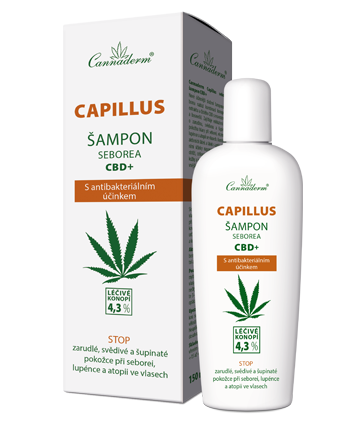 Cannaderm Capillus šampon Seborea CBD+